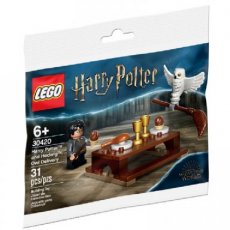 LEGO® 30420 - PL-3 LEGO® 30420 Harry Potter and Hedwig: Owl Delivery (Polybag)