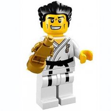 LEGO® Karate Master - Complete Set