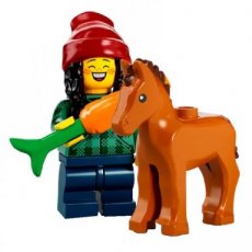 N ° 05 LEGO® paard en stalknecht